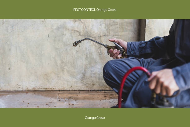 PEST CONTROL Orange Grove